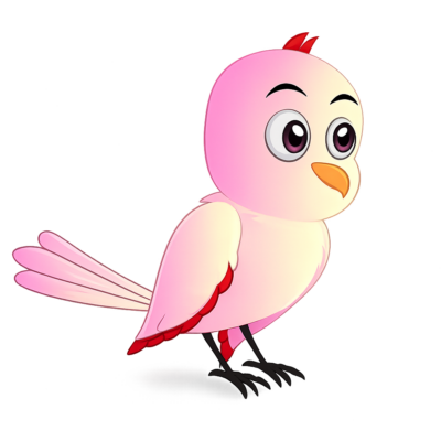 Kuku chida